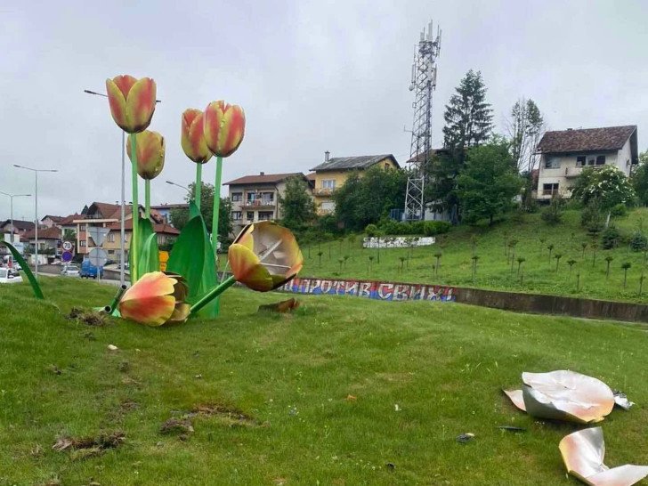 Postupak za osudu: Uništeni tulipani na kružnom toku